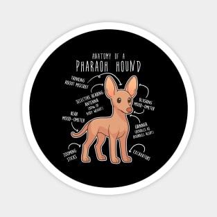 Pharaoh Hound Dog Anatomy Magnet